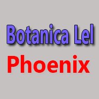 Botanica Lel Phoenix Hours