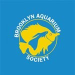 Brooklyn Aquarium Society Holiday Hours | Open/Closed Business Hours