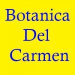 Botanica Del Carmen store hours